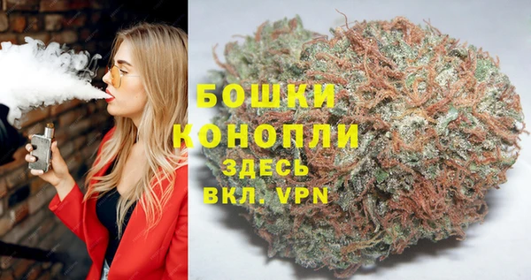 гидра Михайловск