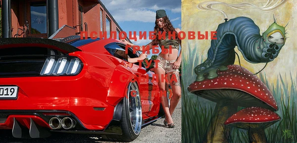 стафф Медвежьегорск